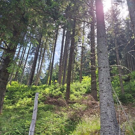 Naturpark Bauernhof Sperl Mariahof Zewnętrze zdjęcie