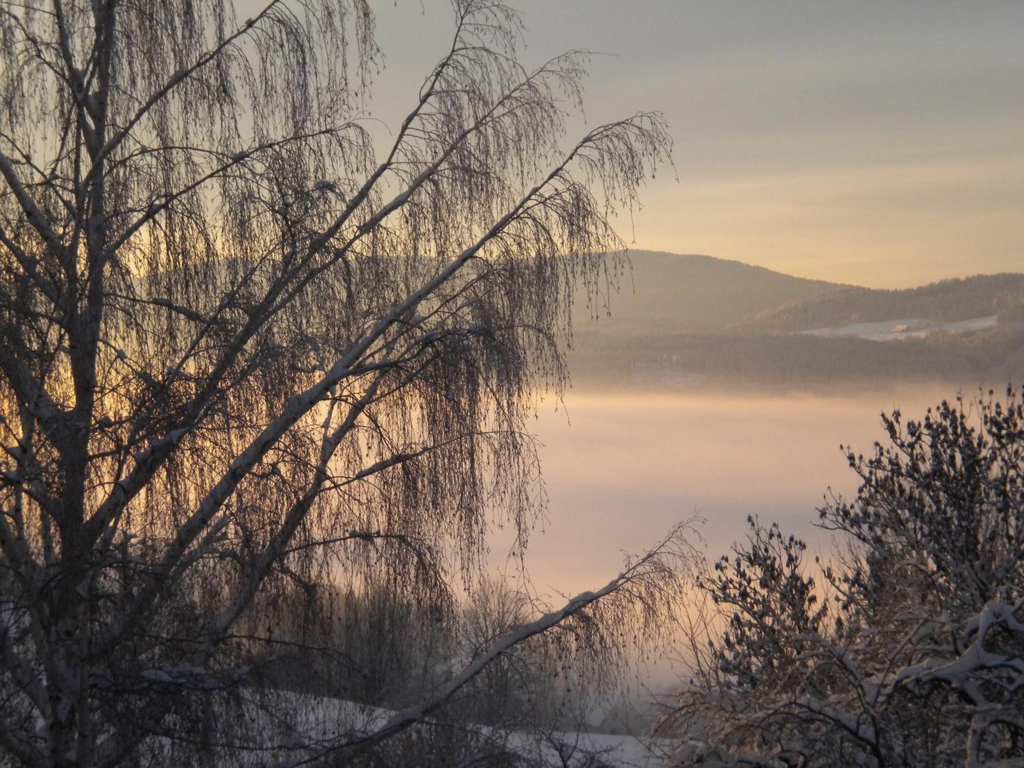 Naturpark Bauernhof Sperl Mariahof Zewnętrze zdjęcie