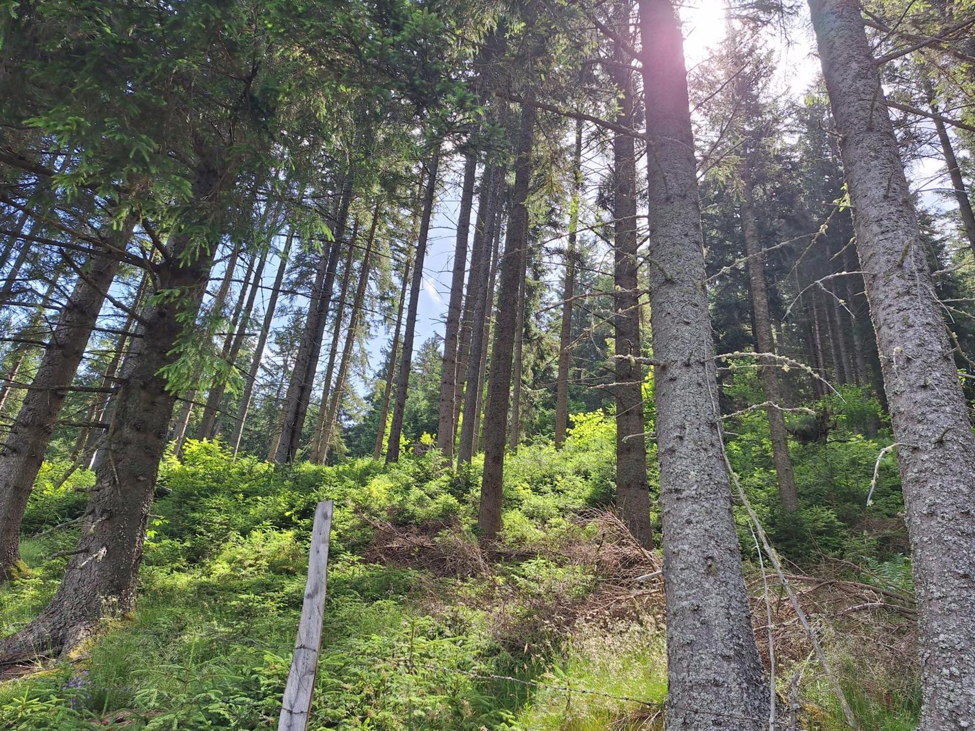 Naturpark Bauernhof Sperl Mariahof Zewnętrze zdjęcie
